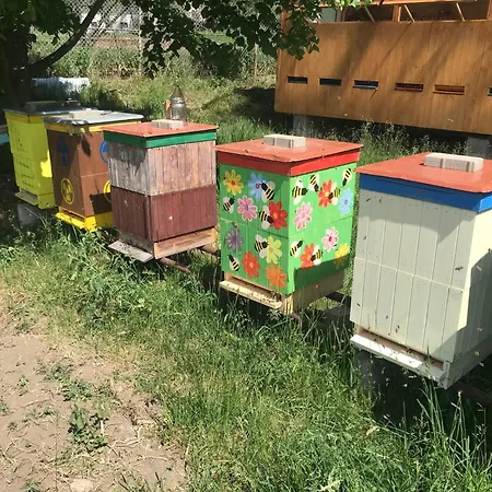 Privat bolig U Vcelara - Aeda Liptovske Sliace